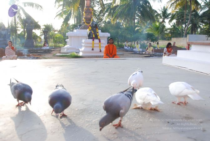 20100808 Photo 1413 1RD1-LDkrBYgXfkAqqCMpWaj x1Q-07P8.JPG