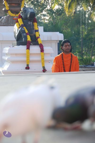 File:20100808 Photo 1415 1LjbbHrM2ZGOsri29Vg-jrgWfVmLZilFa.JPG