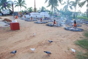 20100808 Photo 1433 1aGKFcWZjn qF5U44s5GavrDw97IcuJX7.JPG