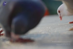 20100808 Photo 1583 1t4BSbZdBjiDyLXaH95k6SGG8oOBA-Ug0.JPG