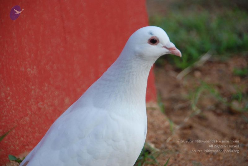 File:20100808 Photo 1588 1ztt3NTuCmvtOl6hnNcdAmLmUMzAuGahP.JPG