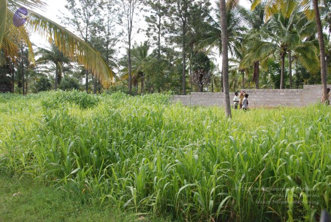 20100808 Photo 1589 1oryhZG2DYpHtEoVnqNieU2Zvpswq7d6x.JPG