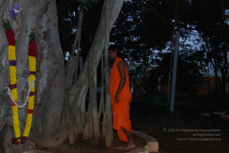 File:20100809 Photo 1001 1tqup-zJBmapwZUPlqwIqj1ges7eOYV0F.JPG