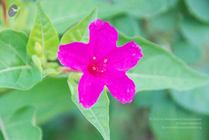 20100809 Photo 1013 12jITE5MTUxA9onc6F9-x9Lw6byV0oJpt.JPG