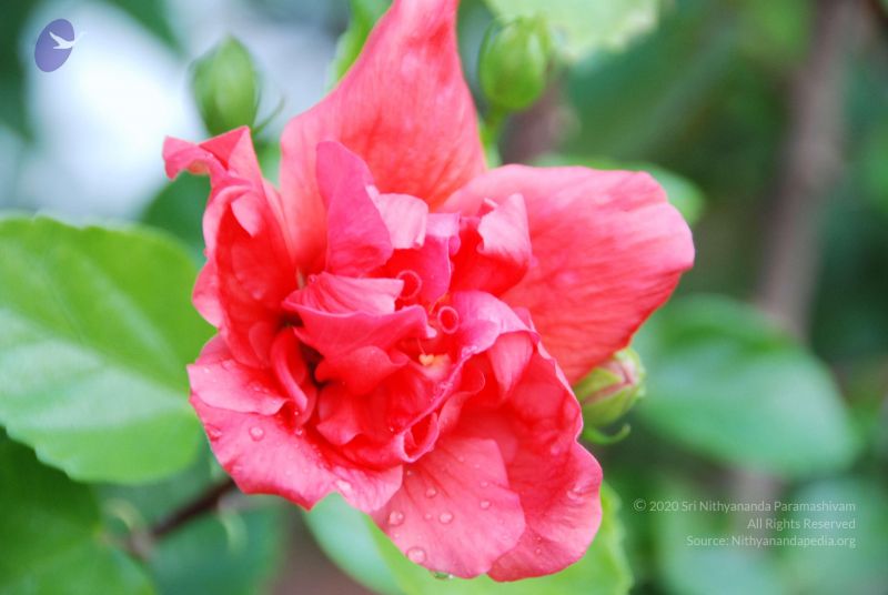 File:20100809 Photo 1014 1Rckj01DkxYMbMJkFUEZUhSsbWNreHzuy.JPG