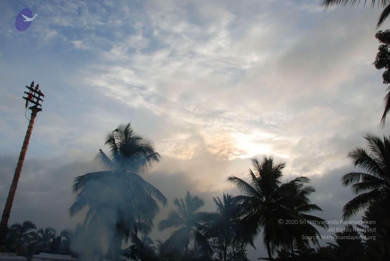File:20100809 Photo 1017 1SXoCAx2-O6CTfzNlqShRolanCPPipkWl.JPG