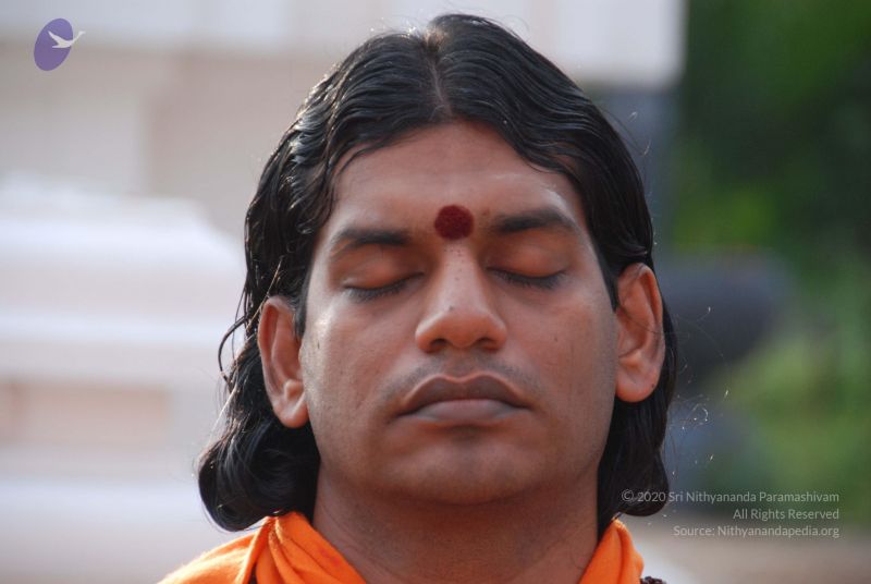 File:20100809 Photo 1023 1kDewEgkrmTOug QDKqnO0LxfHHGpb3US.JPG