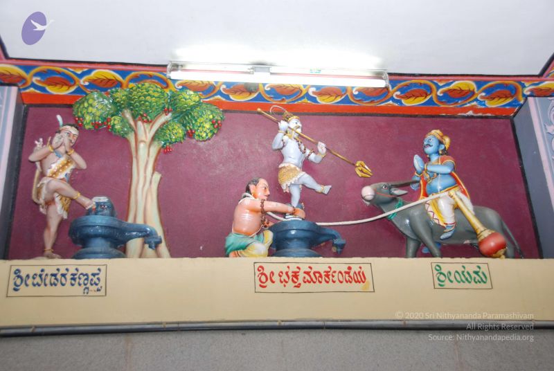 File:20100809 Photo 1477 1lVJPvzsPqENaxRxkqU-wCwggmYwZA-mA.JPG