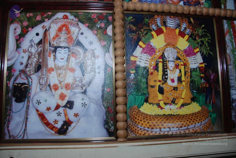 File:20100809 Photo 1516 17piOHe hEsmiqS4zjPOZPguDL0V-Sv50.JPG