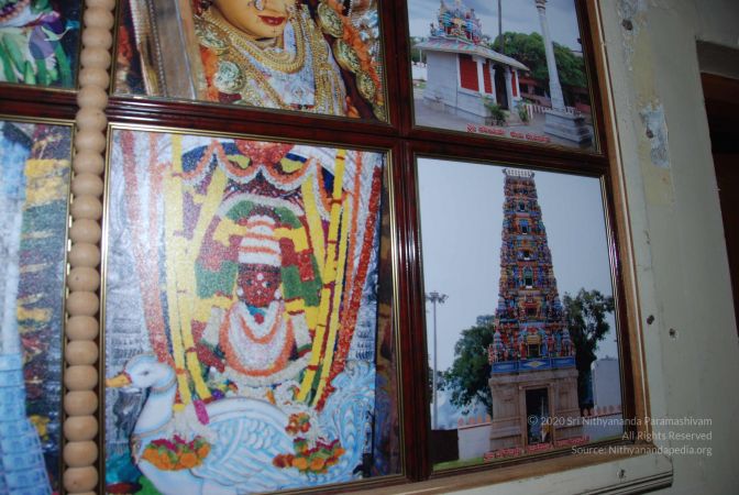 20100809 Photo 1522 1aqmjwytOCVYDrn98NUU8z7Xt1b-HnynY.JPG