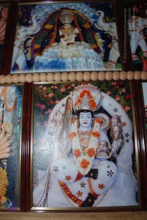 20100809 Photo 1527 1z3fVMm662d6ujUHyYU-rubiY1pLqeQb3.JPG