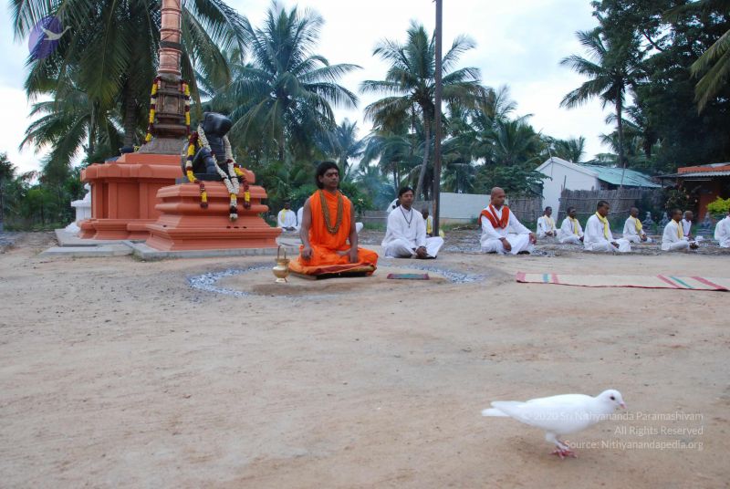 File:20100815 Photo 1000 1Uy3TjoCzygn8mC5d9gsG21RyShuvcSM3.JPG