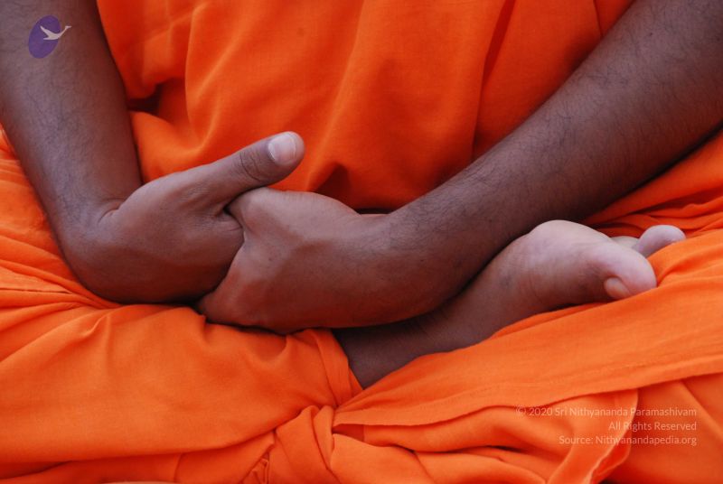 File:20100815 Photo 1042 18KSeIlTAol5B5h-lo t-L OmxUz9yNMJ.JPG