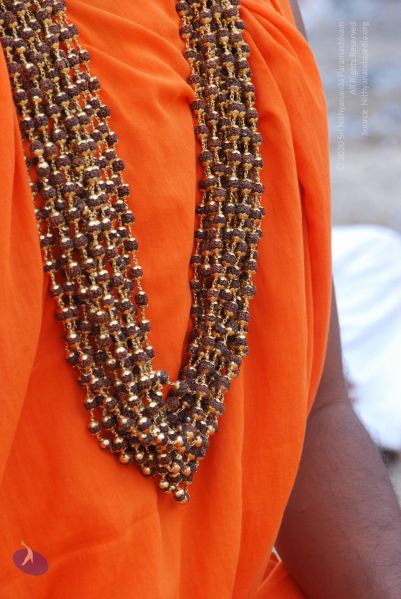 File:20100815 Photo 1065 1dgcyUftyLFOWmlC6qGdl vSFkqvlEg34.JPG