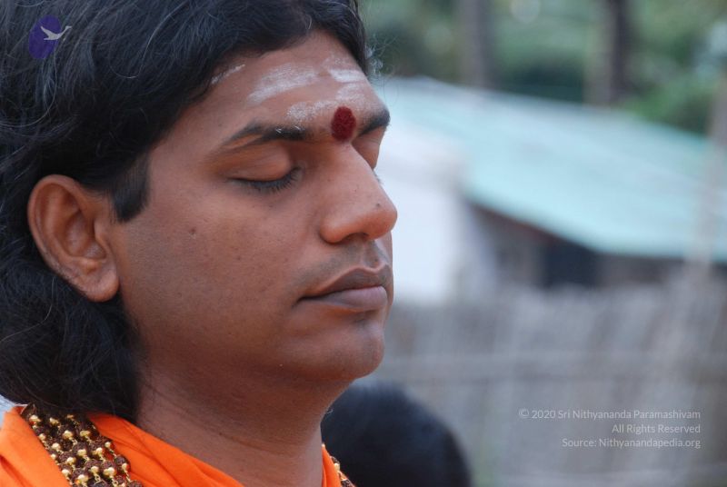 File:20100815 Photo 1068 1S8EQaHMEdYPYP3sHK5NTKZm0Y3Y5RpYJ.JPG