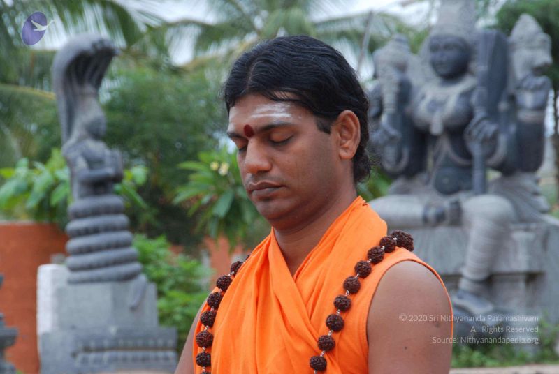 File:20100816 3448 CMP WM.jpg