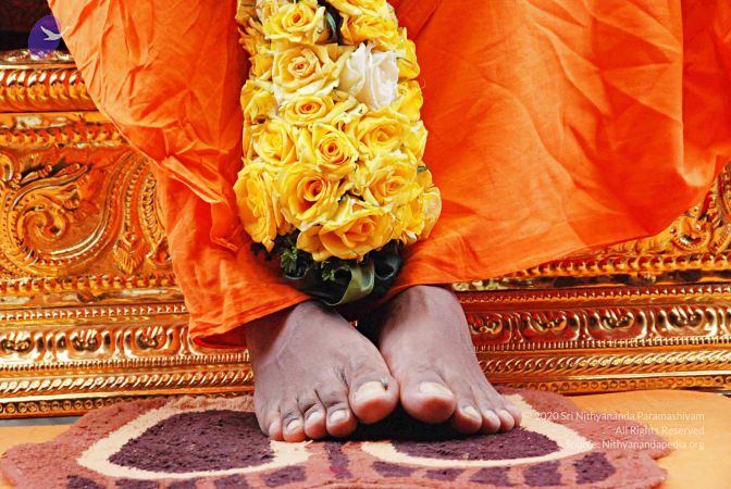 20100816 3569 CMP WM.jpg