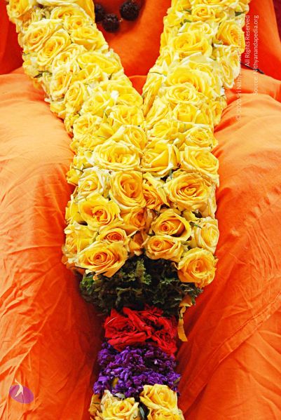 File:20100816 3586 CMP WM.jpg