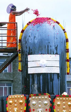 20100824 Photo 1013 1h0DS8WmCYu2o8rXdoF-ylox11TciRAPT.JPG