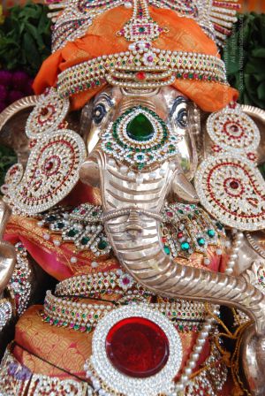 20100912 2697 CMP WM.jpg