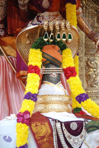 File:20100917 Photo 1001 1Yijc6i8NbCplB--c1HMuucHdFN4fFFds.JPG