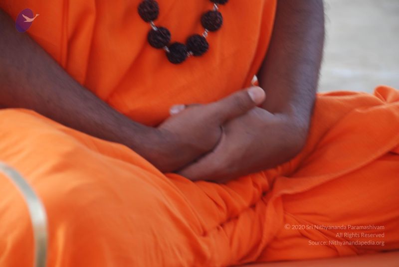 File:20100917 Photo 1233 1VS7JuY8Q4tghV7Kv3e9R4Qwm0GVJNs-k.JPG