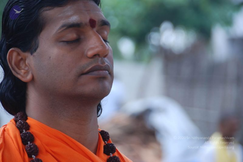 File:20100917 Photo 1237 14wF5P5H6Xj01wBnpU3Gxi cUN8rlLCjJ.JPG