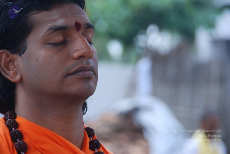 File:20100917 Photo 1238 17IV6idX7Kmfeg6s8be4YDlEreCXzEeng.JPG