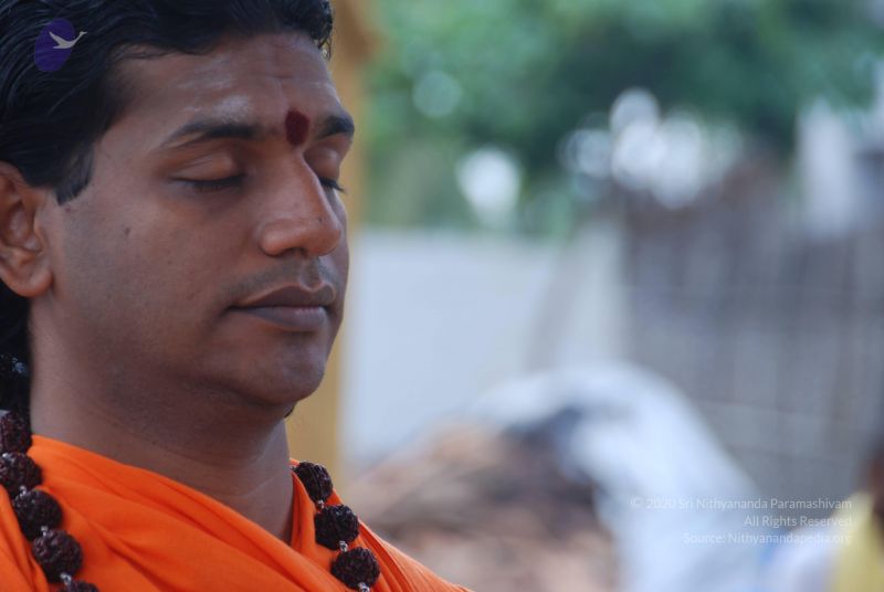 File:20100917 Photo 1239 19FJVHTeg46TTnN8zQzfNJYCmhFLUlD-W.JPG