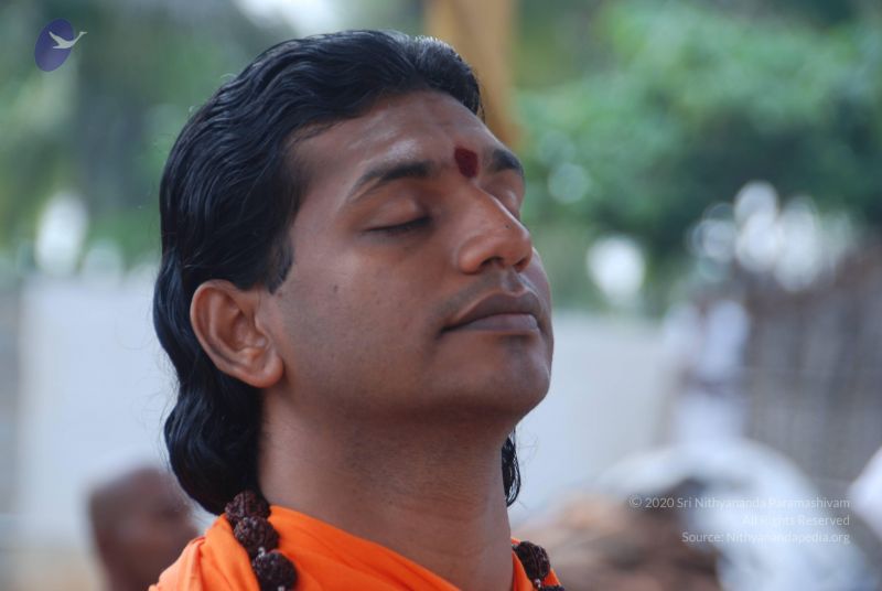 File:20100917 Photo 1241 1dUir55dxIkMgSMHJKd20l- EuYgNTmXQ.JPG