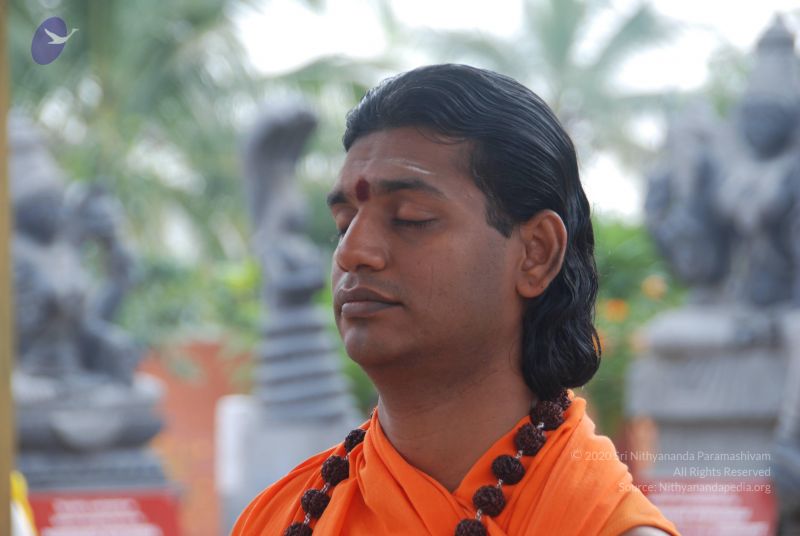 File:20100917 Photo 1250 1KM5y4GRUcOeYTNjjUK4NAlW8YAXUS9A1.JPG