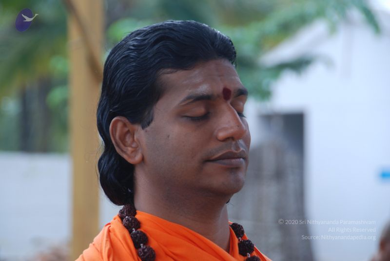 File:20100917 Photo 1270 1kc8DfVdambXk4 Qs6BwarxWliO9D3mYM.JPG