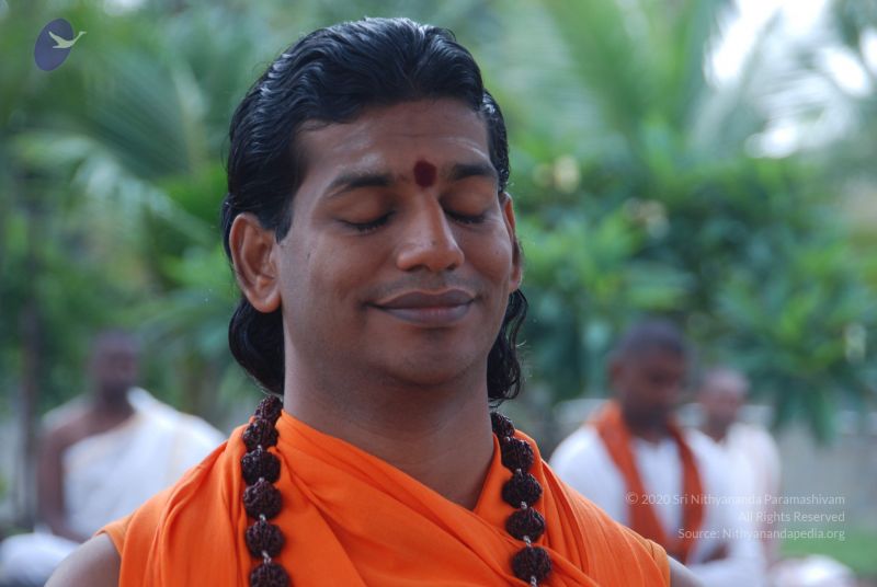 File:20100917 Photo 1274 1hqfd9wrYZWkFs9Rr97G3hQnk7yUUNxJv.JPG