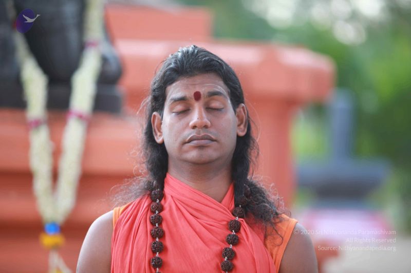 File:2010092120220805-2010092120210423-IMG 9117 CMP WM 01 1.jpg