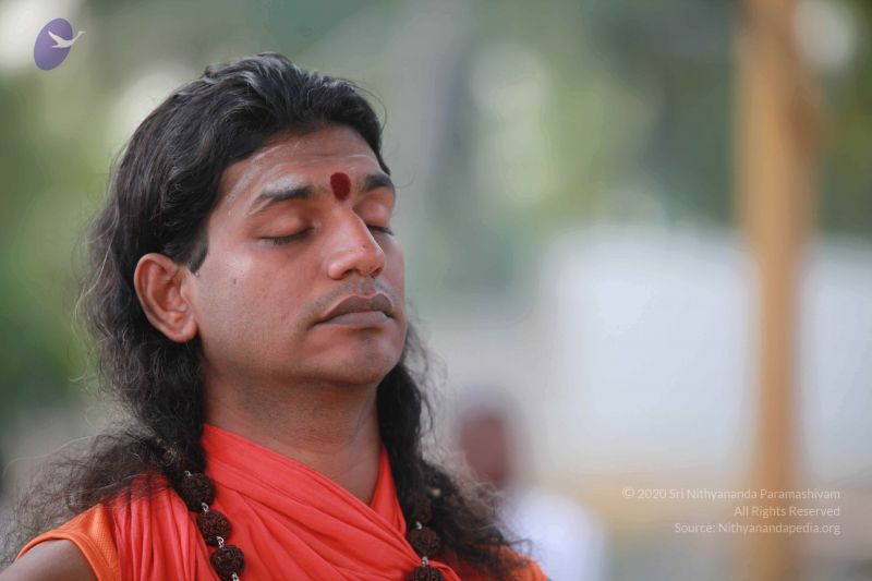 File:2010092120220805-2010092120210423-IMG 9129 CMP WM 01 1.jpg