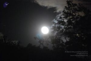 20100925 Photo 1007 1gvzZv0AEze5MjHmPtcbpCMRqHTrxpGHC.JPG