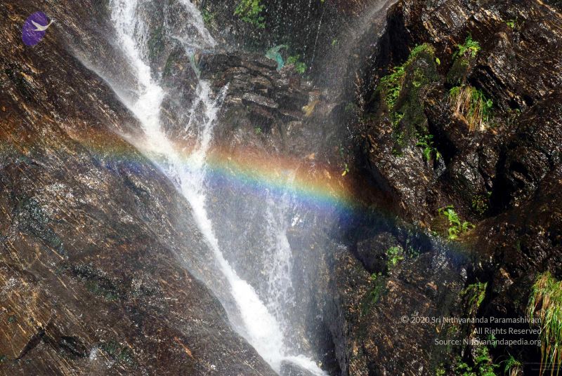 File:20100927DSC 3147 CMP WM001.jpg