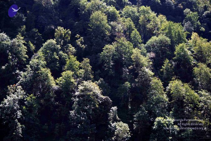 20100927DSC 3169 CMP WM001.jpg