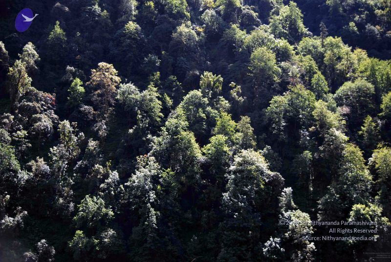 File:20100927DSC 3170 CMP WM001.jpg