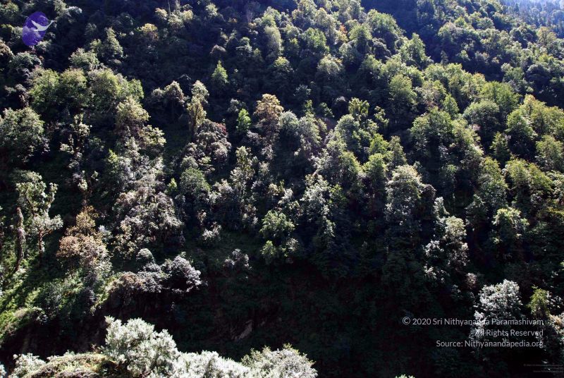 File:20100927DSC 3172 CMP WM001.jpg