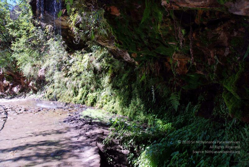 File:20100927DSC 3173 CMP WM001.jpg