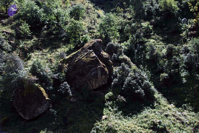 File:20100927DSC 3178 CMP WM001.jpg