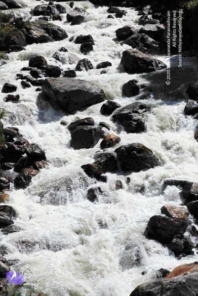 File:20100927DSC 3184 CMP WM001.jpg