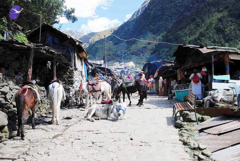 File:20100927DSC 3213 CMP WM001.jpg