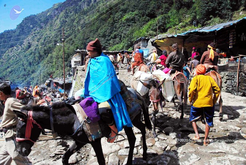 File:20100927DSC 3221 CMP WM001.jpg