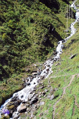 20100927DSC 3262 CMP WM001.jpg