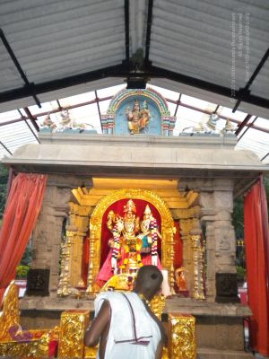 20101001 Photo 1050 1 Ap1mBRXvgT3k8essZXQ7dSZfGZpk1OQ.JPG