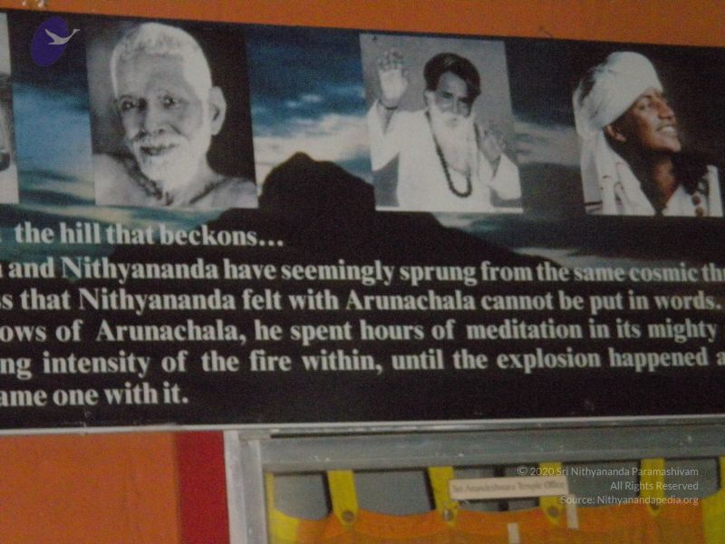 File:20101001 Photo 1053 1aPc3hWYLwtgB9fqxQW9-M-mS--rg-X1 .JPG