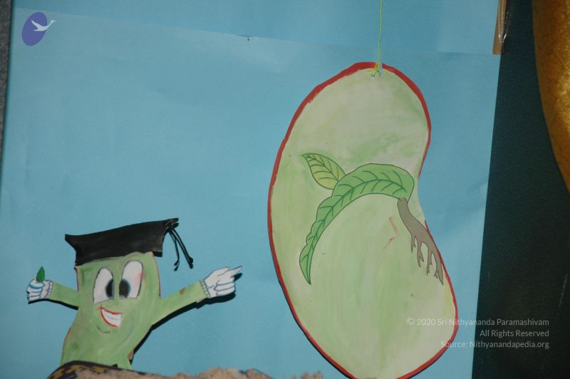 File:20101001 Photo 1117 1qFBTXIpwINVl6OQDYiD5hMOC3u5N2 aw.JPG