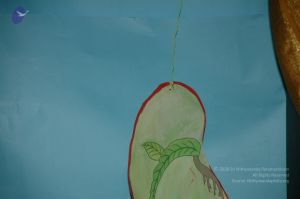 20101001 Photo 1129 1VgFL08sUkbEWCh8V olKucaw93jNyioV.JPG